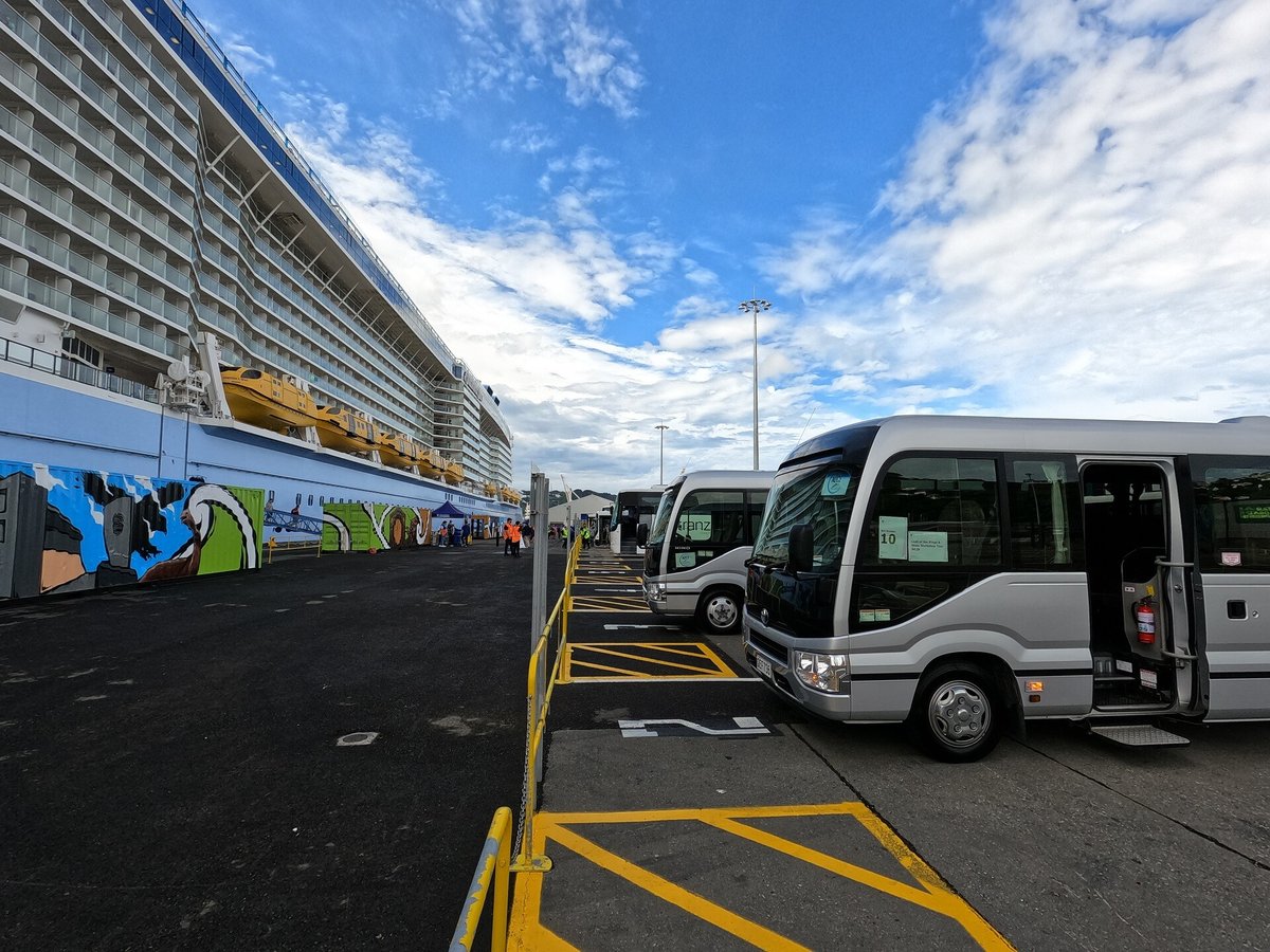 Seal Coast Safari Busses at Wellington Harbour awaiting cruise ship passengers